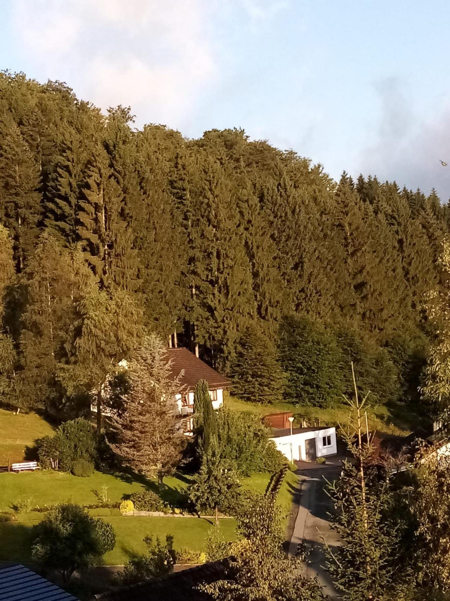 Holiday Home Rehsiepen Schmallenberg Buitenkant foto