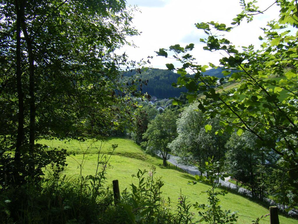 Holiday Home Rehsiepen Schmallenberg Kamer foto