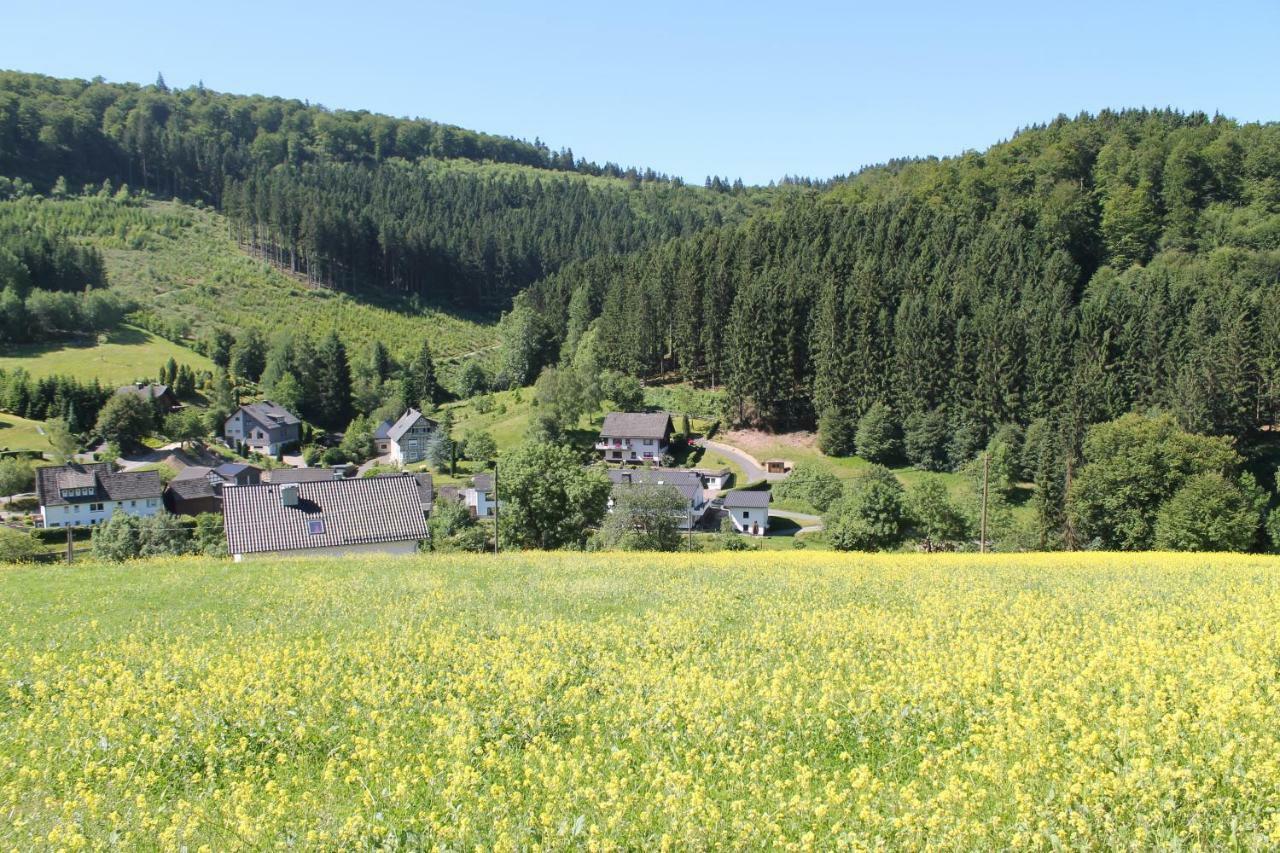 Holiday Home Rehsiepen Schmallenberg Buitenkant foto